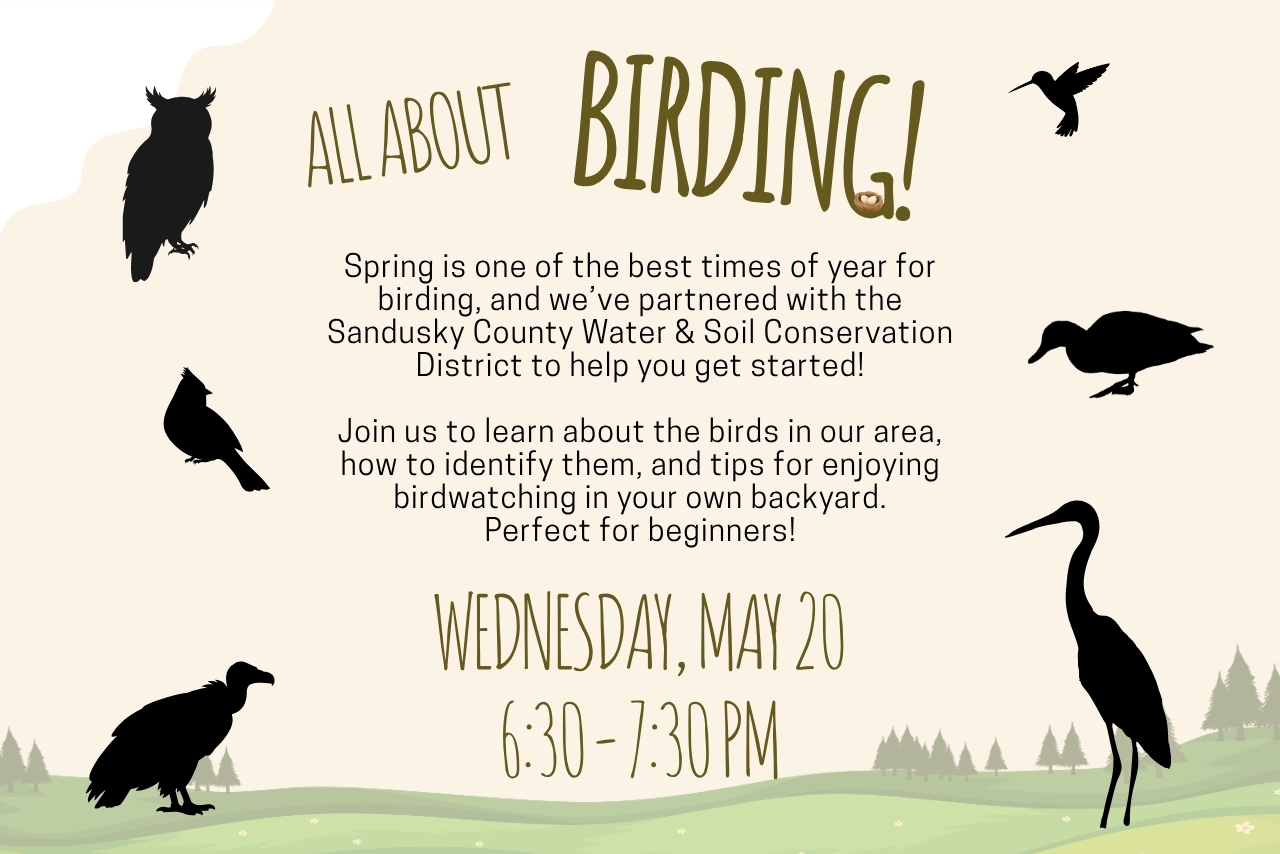 All About Birding