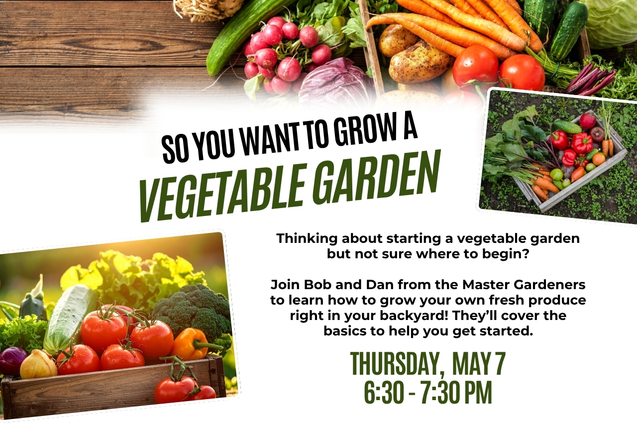 Growing a Veggie Garden
