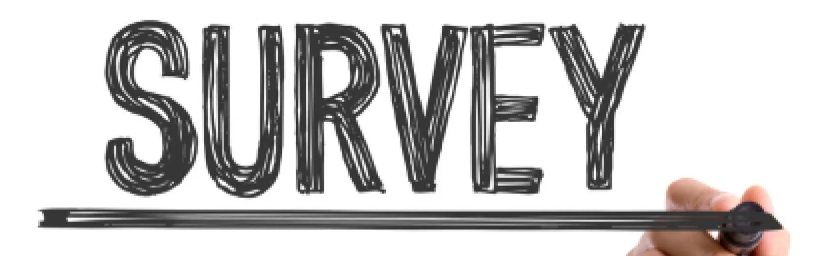 Marker writing of the word survey with hand